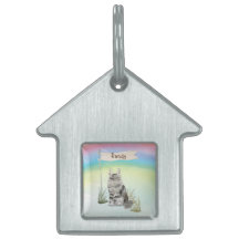 Individuelle Name Maine Coon Cat Pet