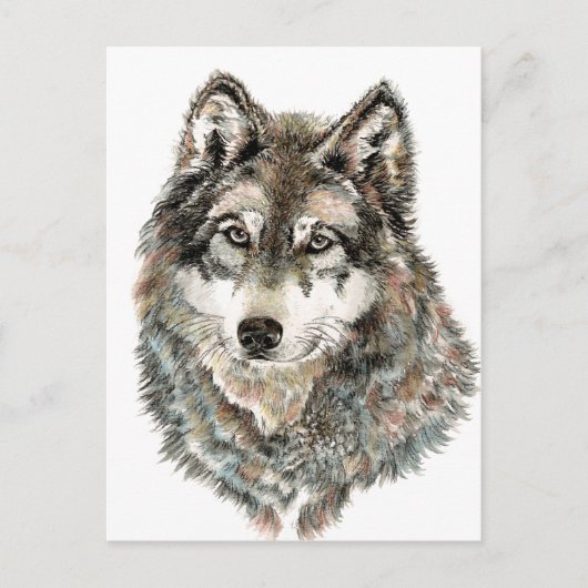 Individuelle Name oder Text Wolf Wasserfarbe Tier Postkarte (Vorderseite)