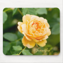 Individuelle Name Orange Yellow Rose