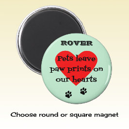 Individuelle Name-Pfoten für den Haustierspeicher Magnet