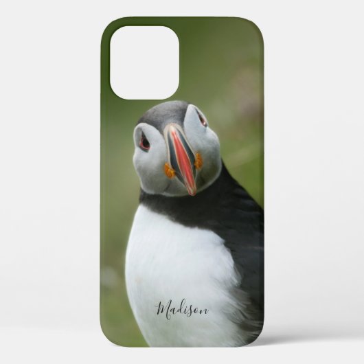 Individuelle Name Puffin Telefonzellen Case-Mate iPhone Hülle (Rückseite)