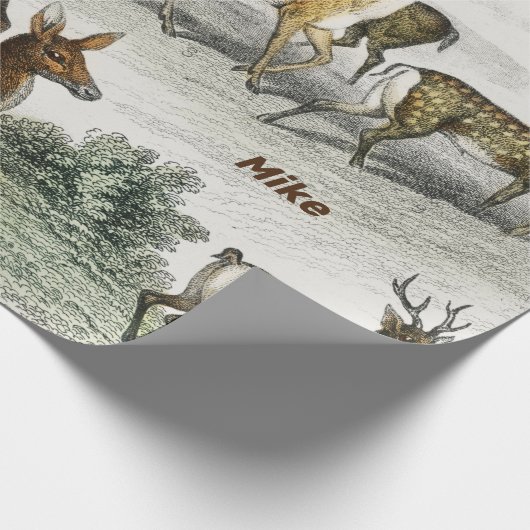 Individuelle Name Roter Hirschhaar, Hind, Roebuck, Geschenkpapier (Ecke)