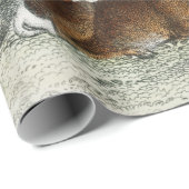 Individuelle Name Roter Hirschhaar, Hind, Roebuck, Geschenkpapier (Rolleneckpunkt)