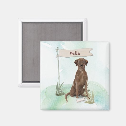 Individuelle Name Schokolade Labrador Haustier Hun Magnet (Vorderseite/Rückseite)