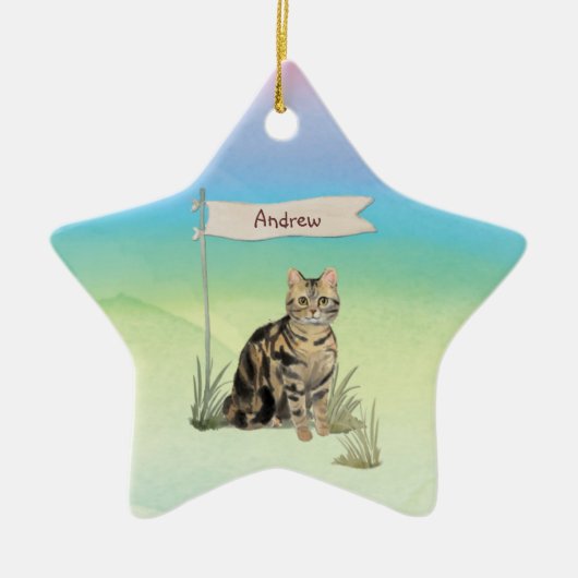 Individuelle Name Tabby Cat Pet Keramik Ornament (Vorne)