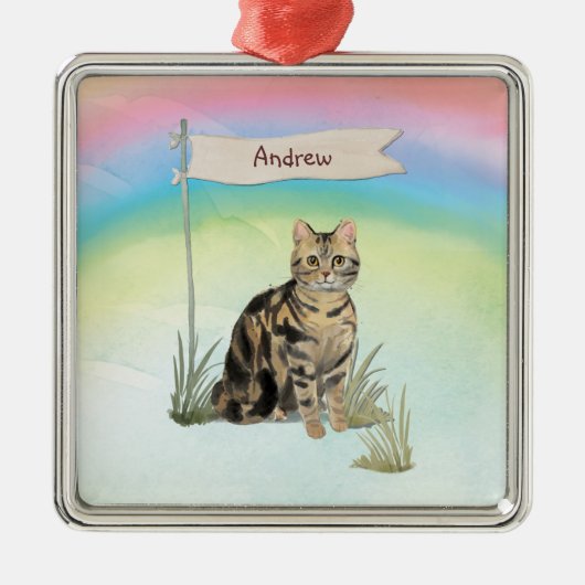 Individuelle Name Tabby Cat Pet Ornament Aus Metall (Vorne)