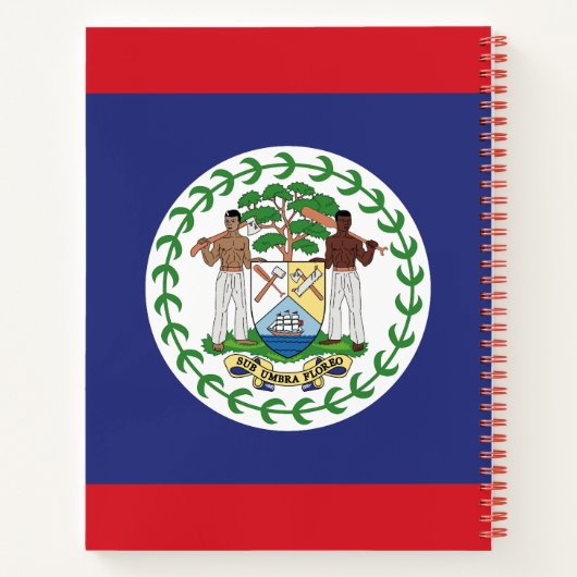 Individuelle Name- und Textbelize-Flagge Notizblock (Rückseite)