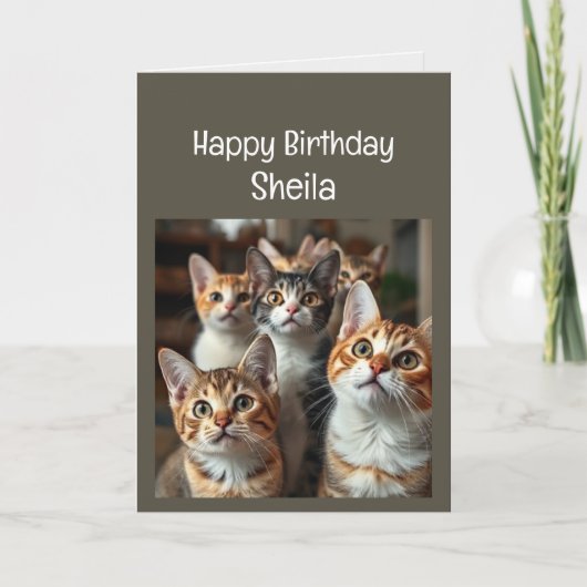 Individuelle Name Women Birthday Funny Cat Karte (Vorderseite)