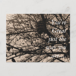 Individuelle Postkartenfotografie Postkarte