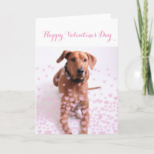 Individuelle Valentinstagskarte - Hund Karte