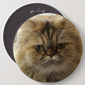 INDIVIDUELLER GROSSER DRUCKKNOPF MIT HAUSTIERKATZE BUTTON (Vorne & Hinten)