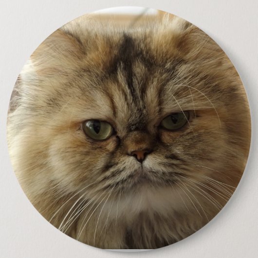 INDIVIDUELLER GROSSER DRUCKKNOPF MIT HAUSTIERKATZE BUTTON (Vorderseite)