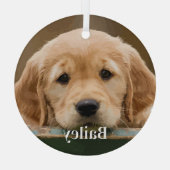 Individuelles Foto Hund für Haustiere über moderne Ornament Aus Glas (Rückseite)