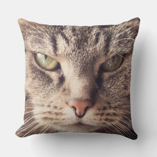 individuelles Katzenkissen Kissen