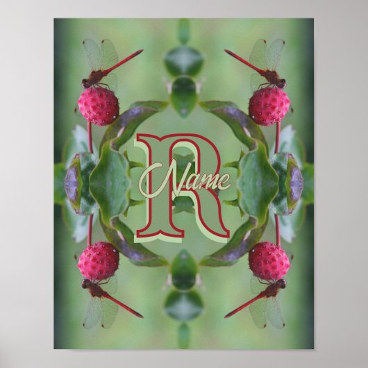Individuelles Monogramm Ihr Anfangsname Libellenku Poster (Vorne)