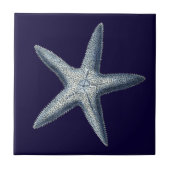 Indizes Muscheln IV Fliese (Vorderseite)