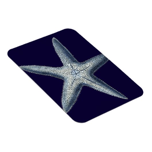 Indizes Muscheln IV Magnet (Rechte Seite)