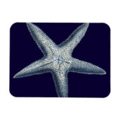 Indizes Muscheln IV Magnet (Horizontal)