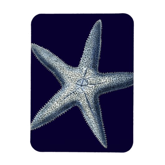 Indizes Muscheln IV Magnet (Vertikal)