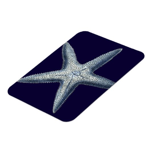 Indizes Muscheln IV Magnet (Linke Seite)