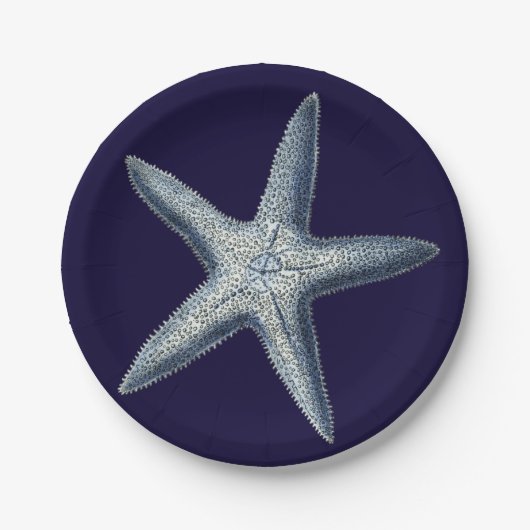 Indizes Muscheln IV Pappteller (Vorderseite)