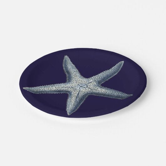 Indizes Muscheln IV Pappteller (Schrägansicht)