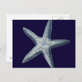 Indizes Muscheln IV Postkarte (Vorne/Hinten)