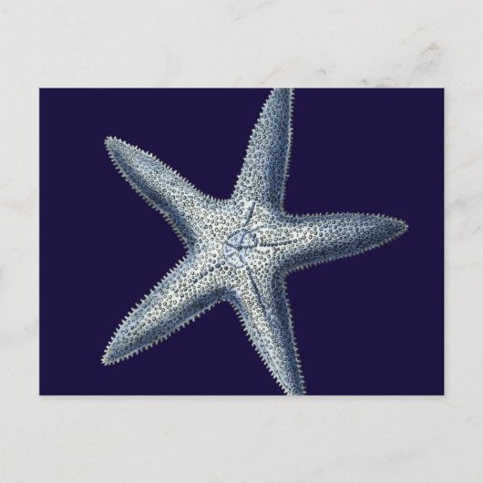 Indizes Muscheln IV Postkarte (Vorderseite)