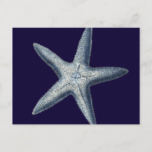 Indizes Muscheln IV Postkarte