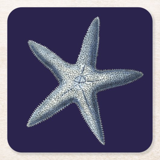 Indizes Muscheln IV Rechteckiger Pappuntersetzer (Vorderseite)