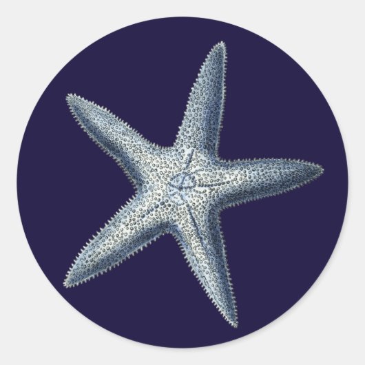 Indizes Muscheln IV Runder Aufkleber (Vorderseite)