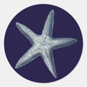 Indizes Muscheln IV Runder Aufkleber