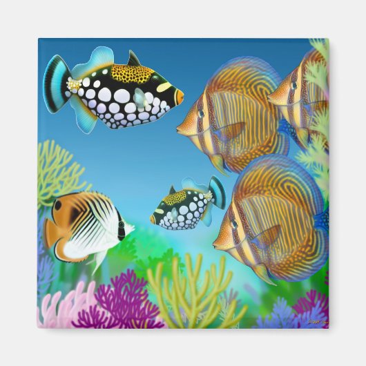 Indo Pacific Reef Fish Magnet (Vorne)