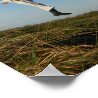 Indomestiziertes Spirit Taekwondo Poster