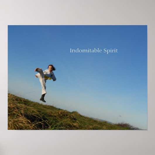 Indomestiziertes Spirit Taekwondo Poster (Vorne)