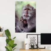Indonesia, Bali, Ubud, Long-tailed Macaque Poster (Heimbüro)