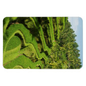 Indonesien, Bali | Reis Paddies Magnet (Horizontal)