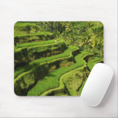 Indonesien, Bali | Reis Paddies Mousepad (Mit Mouse)