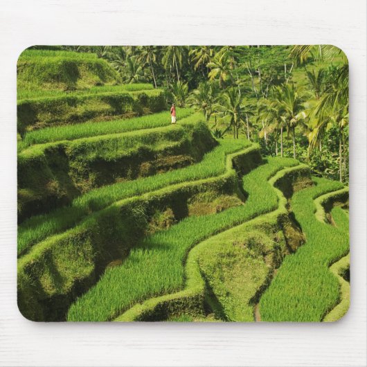 Indonesien, Bali | Reis Paddies Mousepad (Vorne)
