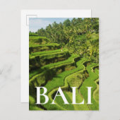 Indonesien, Bali | Reis Paddies Postkarte (Vorne/Hinten)