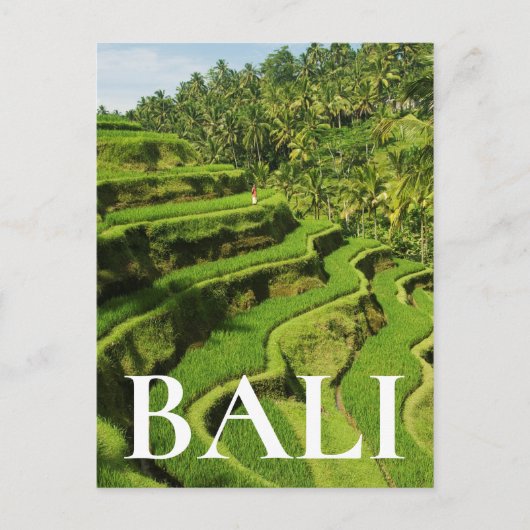 Indonesien, Bali | Reis Paddies Postkarte (Vorderseite)