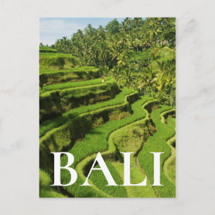 Indonesien, Bali Reisfelder Postkarte
