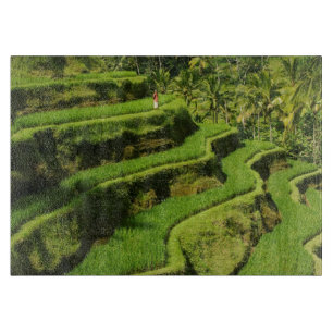 Indonesien, Bali Reisfelder Schneidebrett