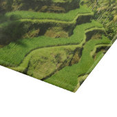 Indonesien, Bali| Reisfelder Schneidebrett (Ecke)
