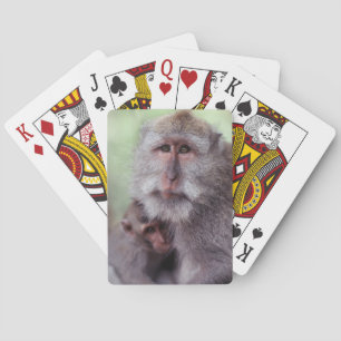 Indonesien, Bali, Ubud, Javaneraffe Spielkarten