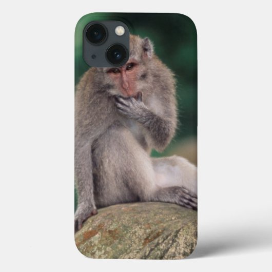 Indonesien, Bali, Ubud, Lang-angebundener Macaque Case-Mate iPhone Hülle (Rückseite)