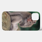Indonesien, Bali, Ubud, Lang-angebundener Macaque Case-Mate iPhone Hülle (Rückseite (Horizontal))