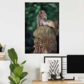 Indonesien, Bali, Ubud, Macaque 2 Poster (Heimbüro)