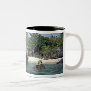 Indonesien. Felsformationen entlang der Küste Zweifarbige Tasse
