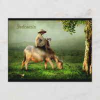 Indonesien Landschaftliche Landschaft mit Buffalo